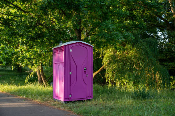 Best Affordable porta potty rental  in Greenville, MI